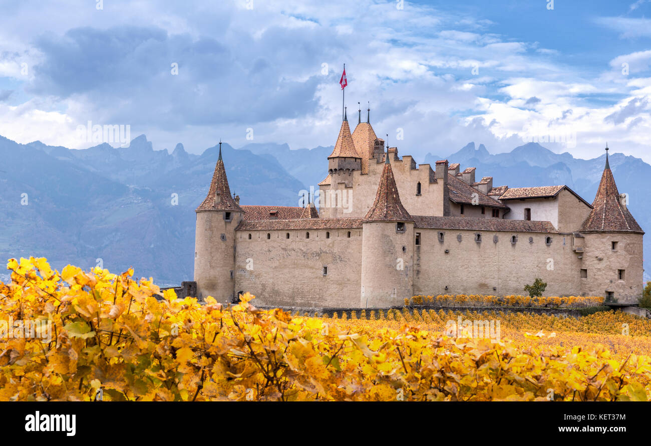 Aigle Castle surrounded by vineyards, Aigle,Vaud, Switzerland Stock Photo -  Alamy