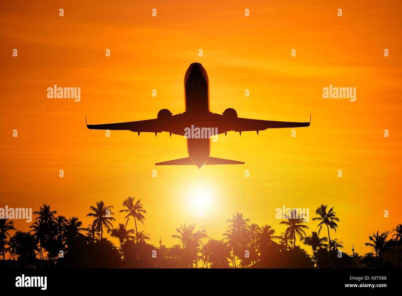 Airplane Flight To Paradise Concept Image with Airliner and Palm Trees Silhouette. Travel Theme. Stock Photo