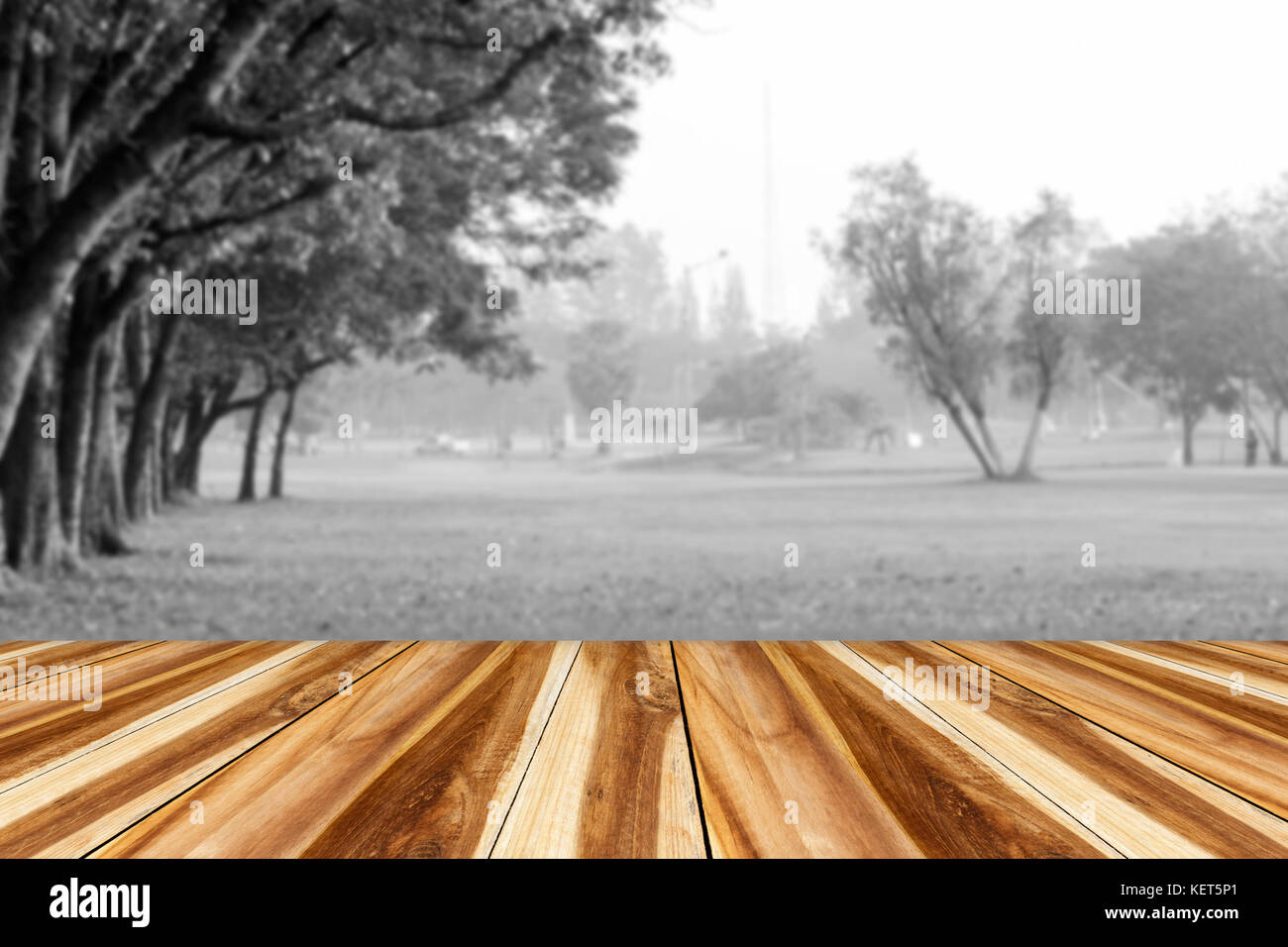 tree black and white background and nature background with Perspective wood  Stock Photo - Alamy