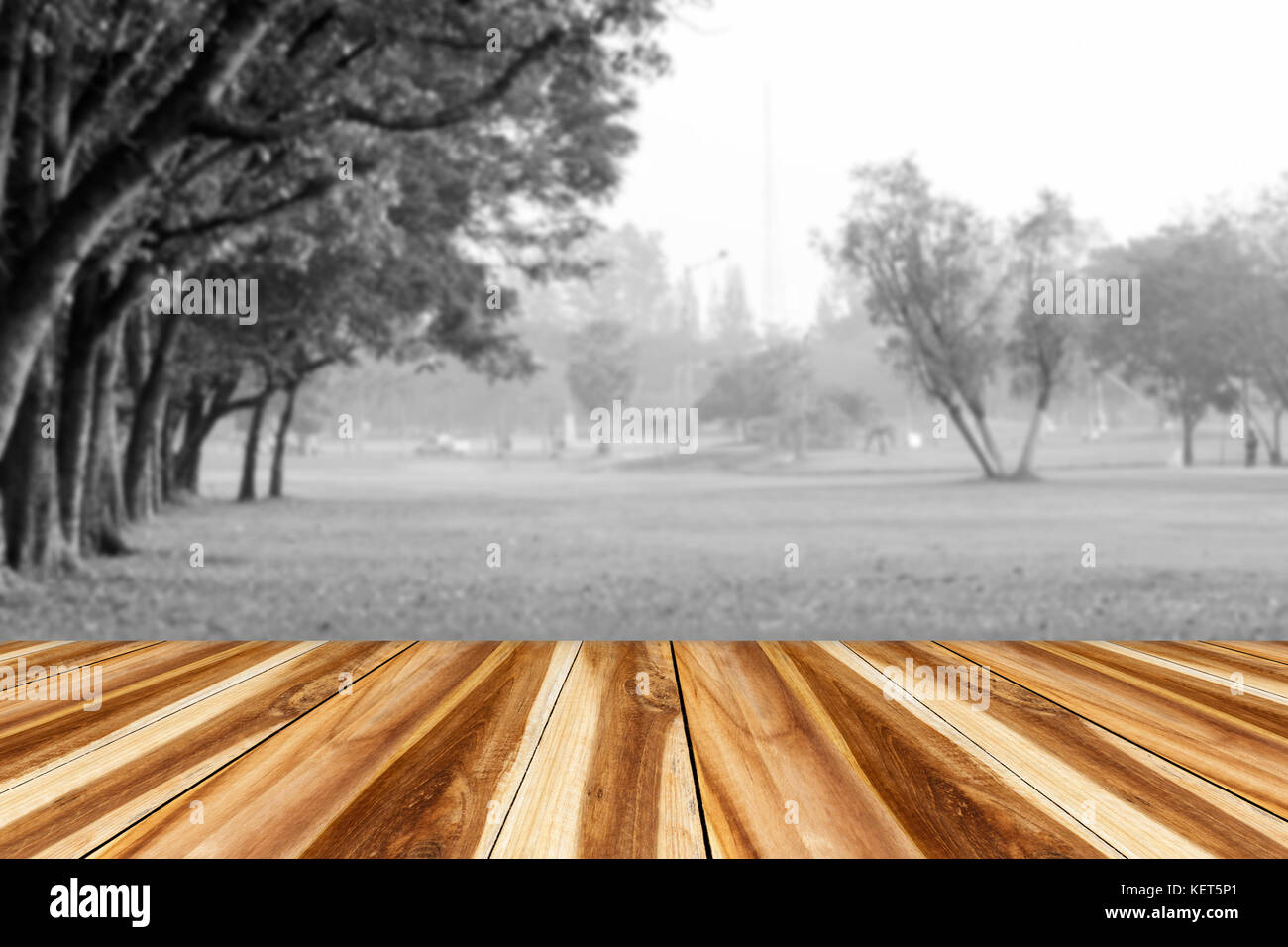 pretty nature backgrounds black and white pretty nature backgrounds black and white