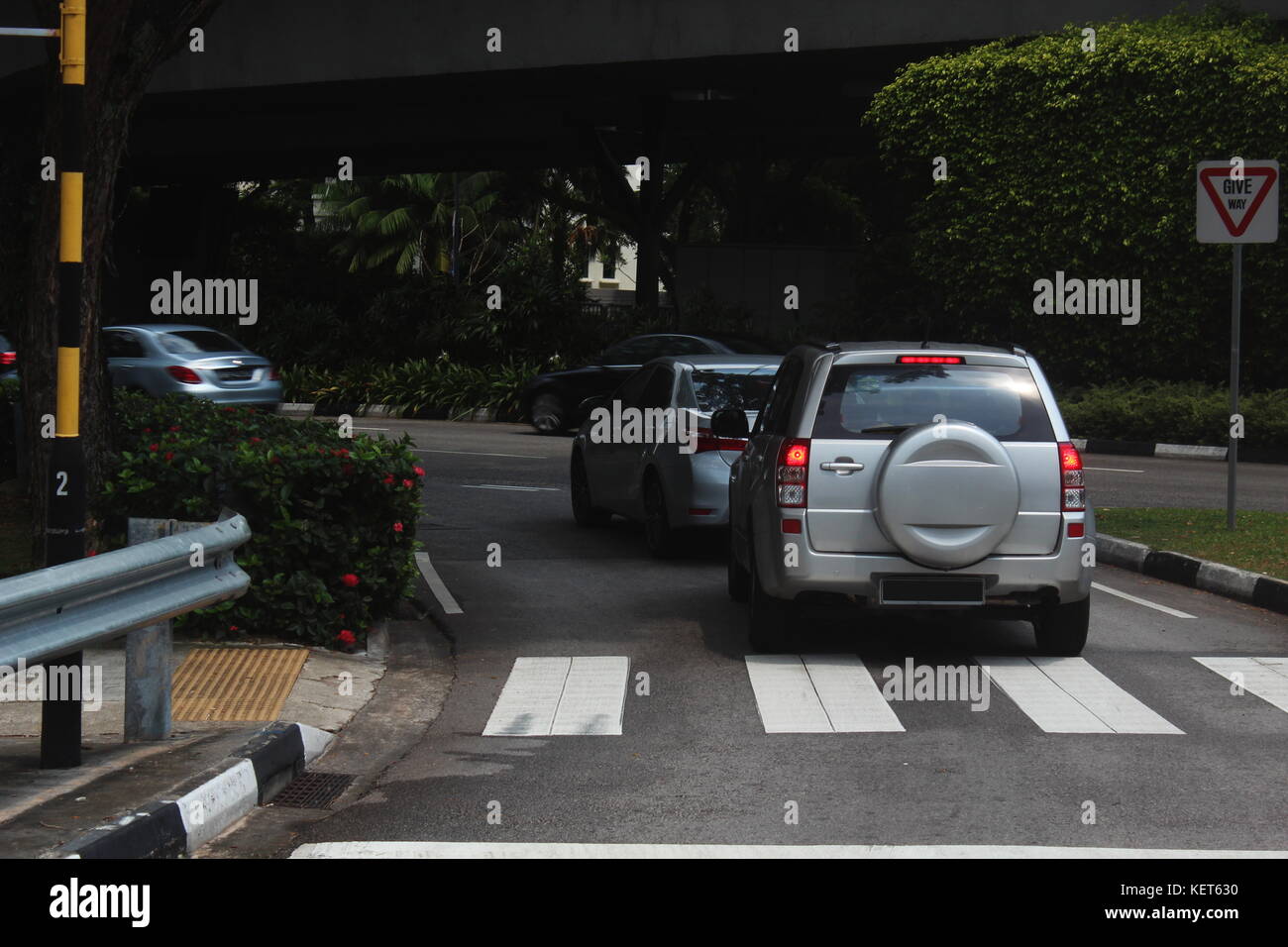 Cars in Singapore at a Zebra Crossing, waiting to turn out ont o the