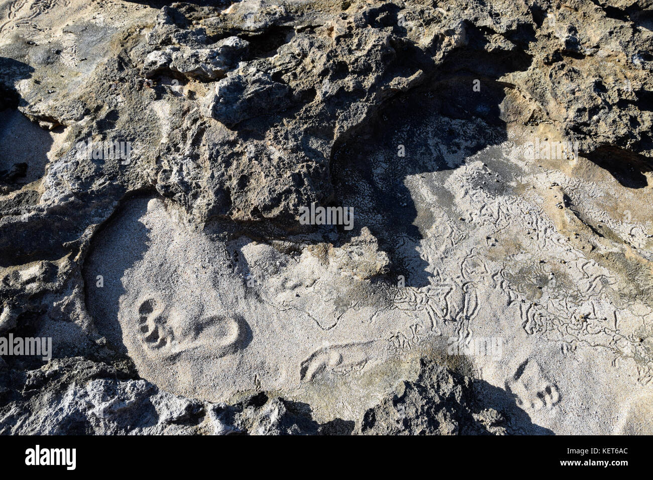 Footprints in the sand - Ka'ena Point Trail, Oahu Hawaii Stock Photo