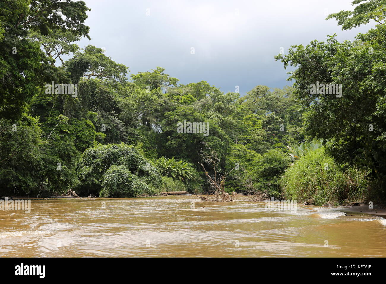 Rancho La Pavona to Tortuguero river transfer, Rio Suerte, Limón province, Costa Rica, Caribbean Sea, Central America Stock Photo