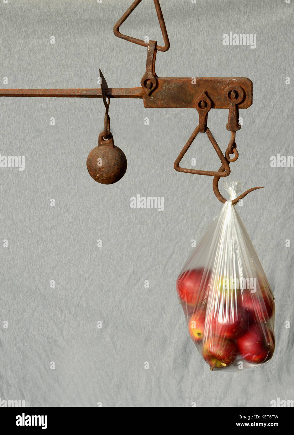 Steelyard scale weighs a plastic bag with apples. This scale works due to the principle of the lever. Stock Photo