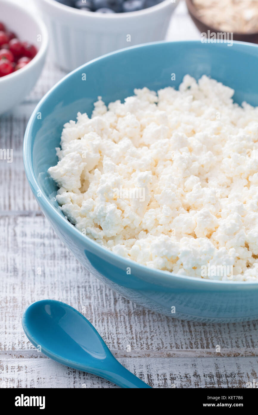 Organic Farmers cheese, Cottage cheese, Curd cheese, Tvorog or Ricotta