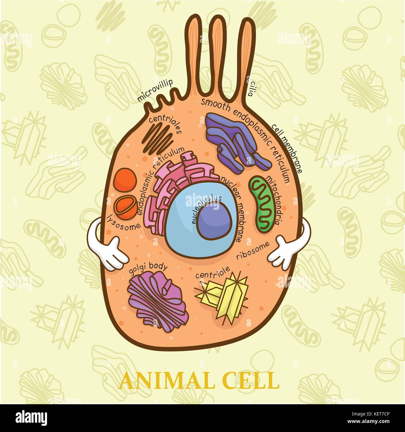 cells clipart in biology project cover page