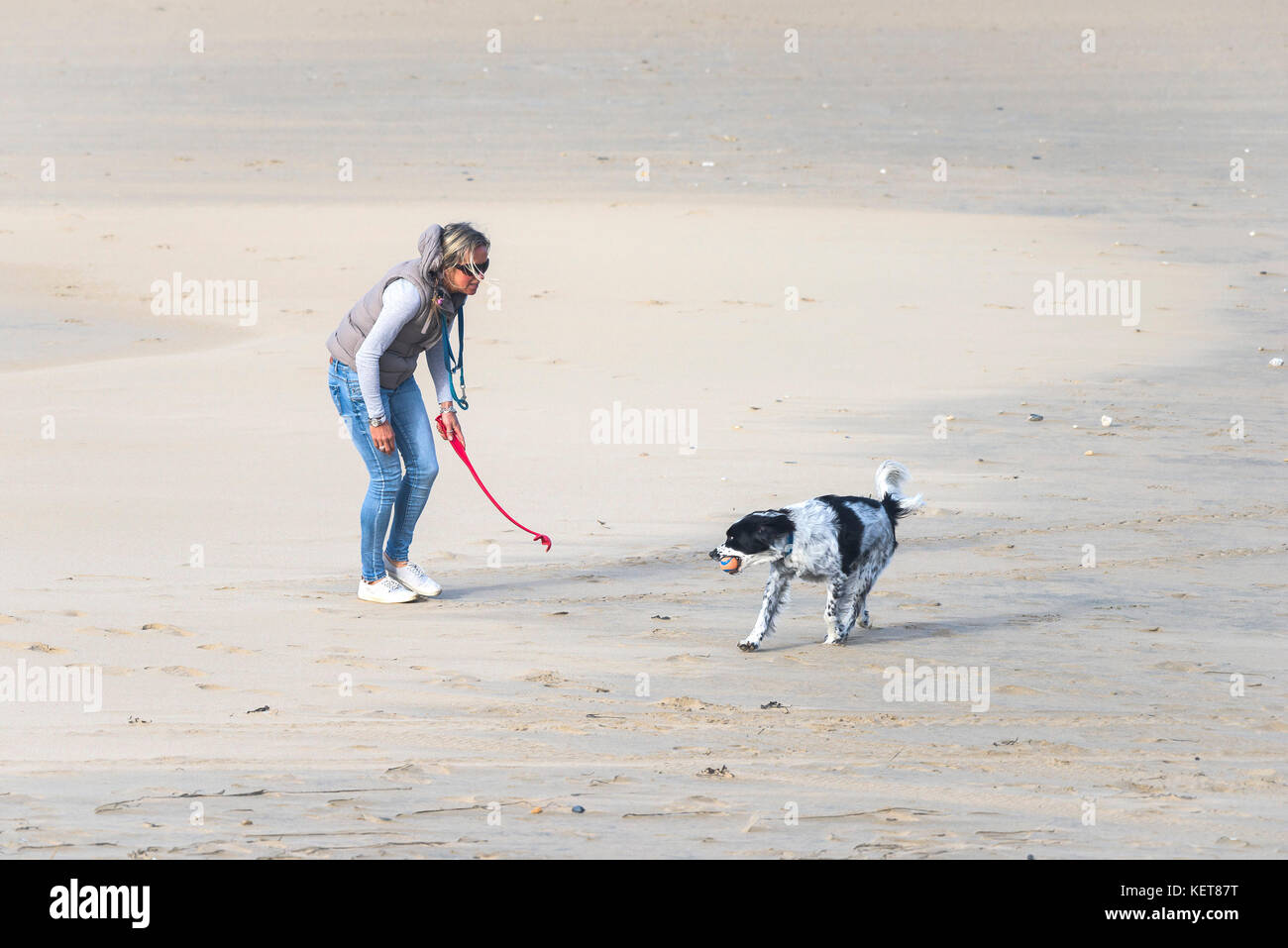 Dog walking - A dog walker playing with her dog on Fistral Beach in Newquay Cornwall. Stock Photo