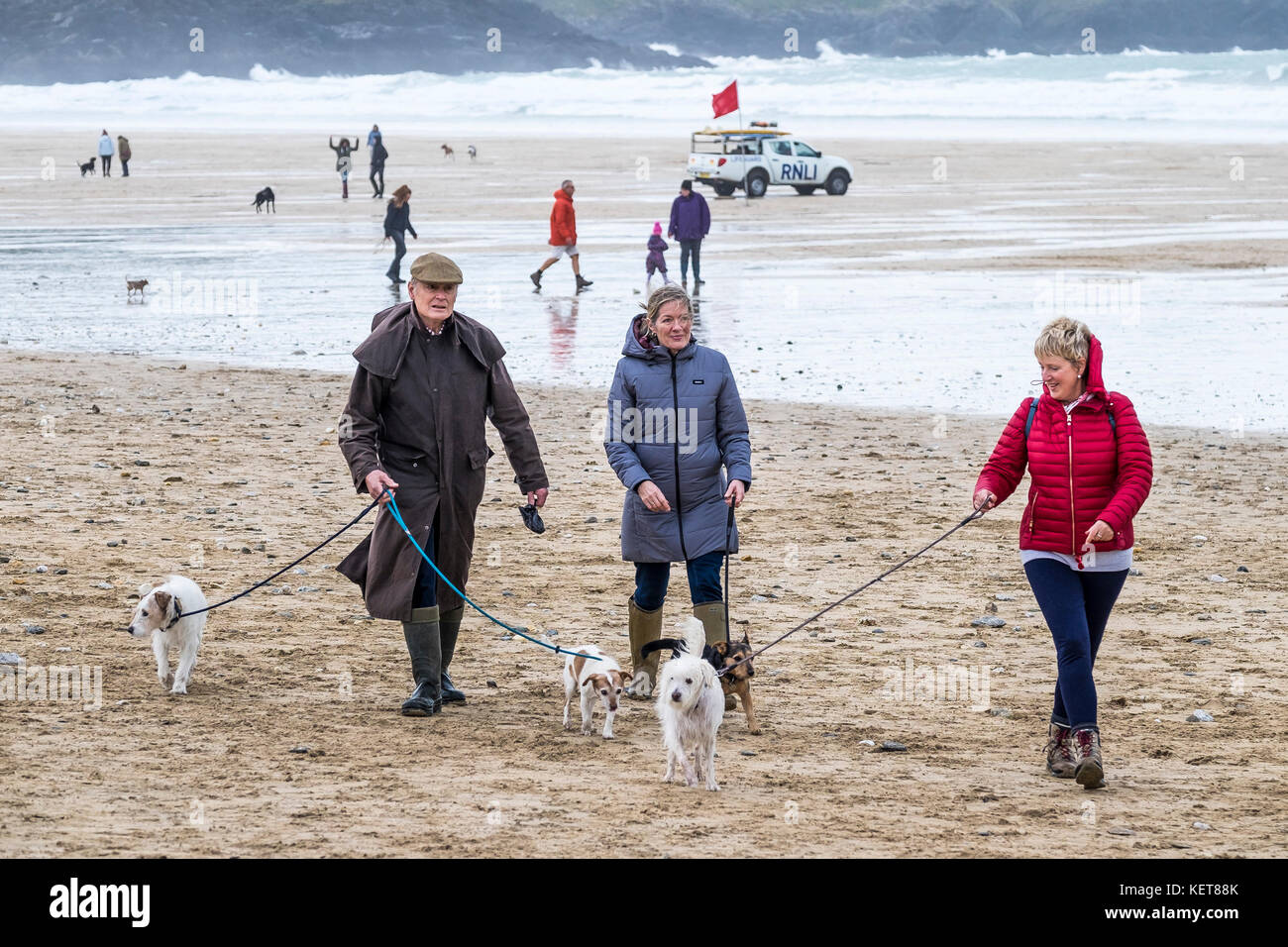 Dog walking - dog walkers and their dogs on Fistral Beach Newquay. Stock Photo