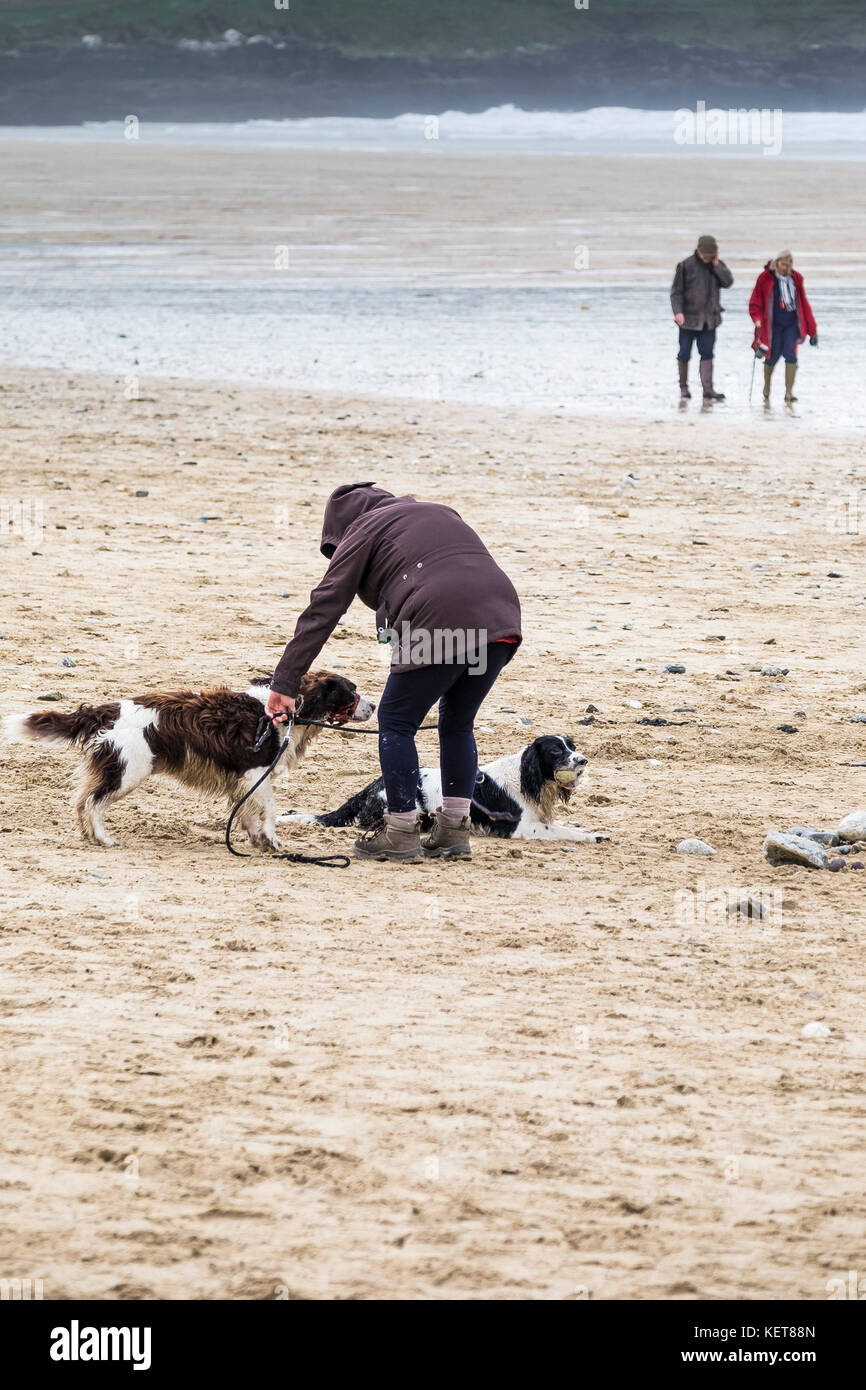 Dog walking - a dog walker and her two dogs on Fistral Beach Newquay. Stock Photo
