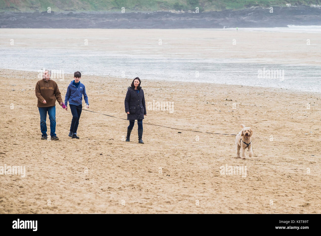 Dog walkers - a family walking their dog on Fistral Beach Newquay. Stock Photo