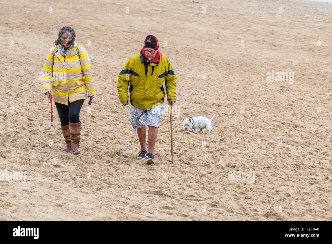 Dog walkers - a couple walking their dog on Fistral Beach Newquay. Stock Photo