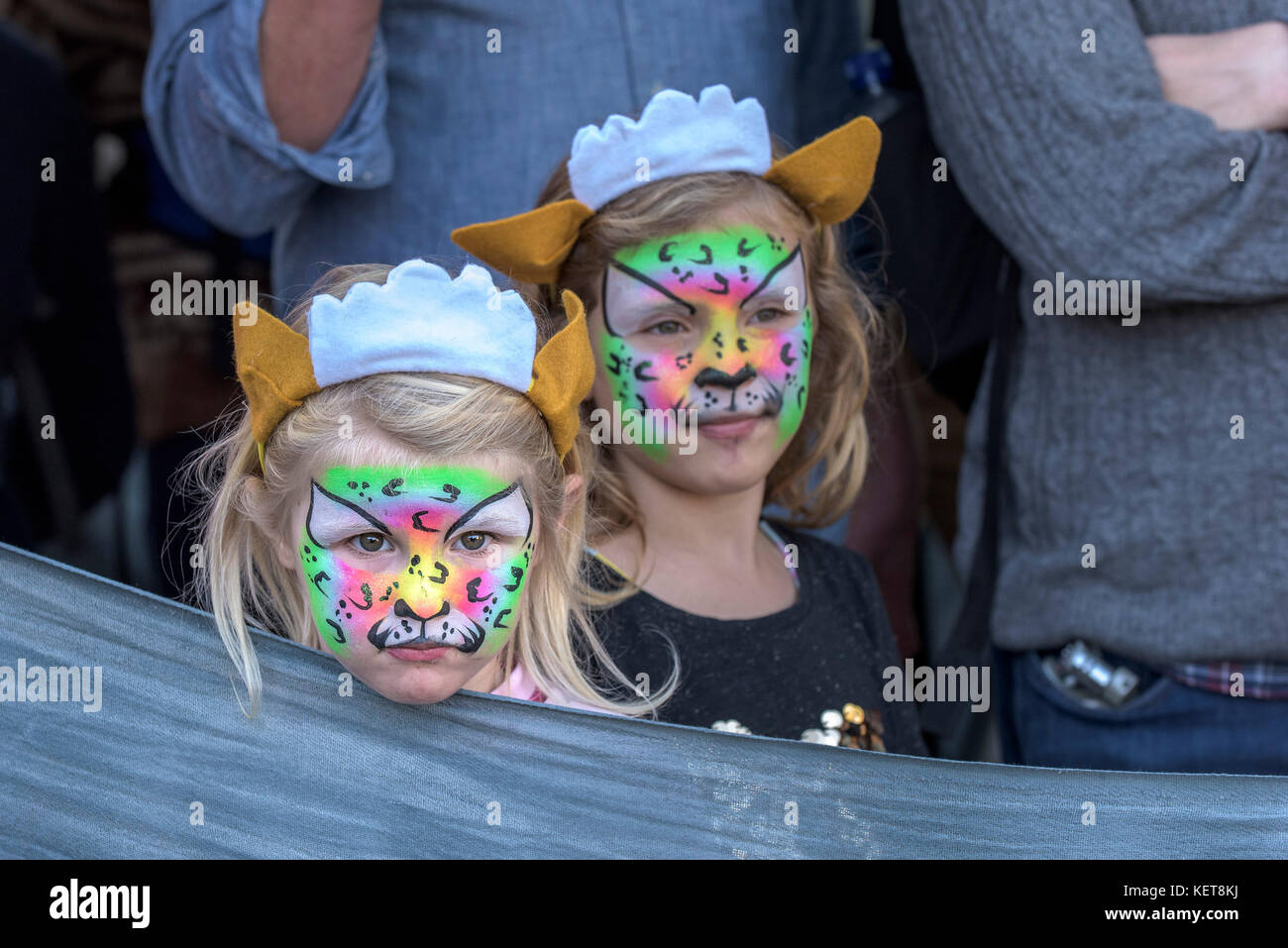 Face painting - two children with their faces painted. Stock Photo