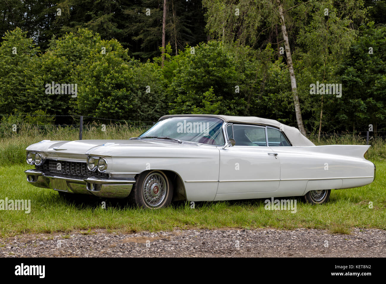 Munich, Germany, 18 June 2016: American vintage car, rear view Stock ...