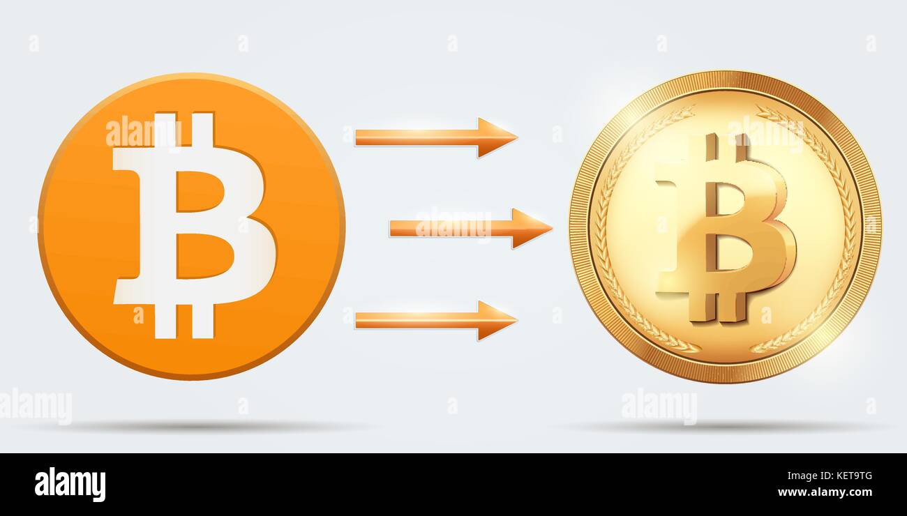 Concept of Bitcoin hard fork Stock Vector