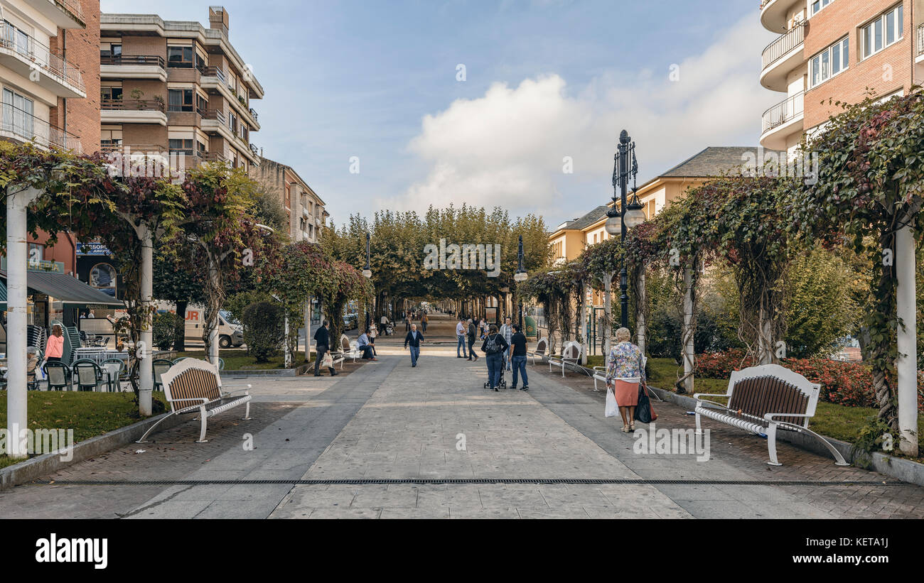 Plaza and street with tree vault in the city of Torrelavega, Cantabria, Spain Stock Photo