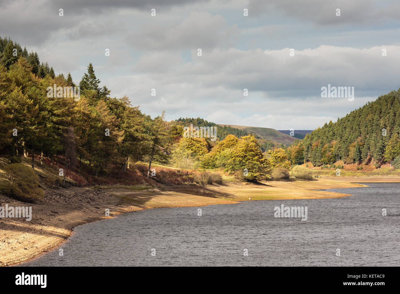 Early Autumn at Howden Dam Stock Photo