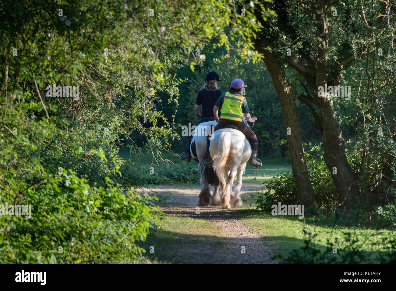 Horse riding along the bridleways of the New Forest, Hampshire Stock Photo