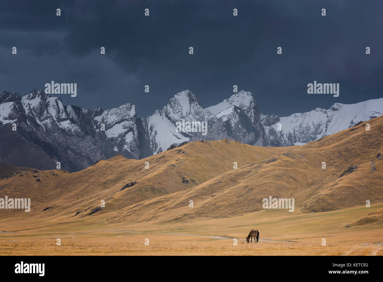 Horse Grazing close to mountains Stock Photo