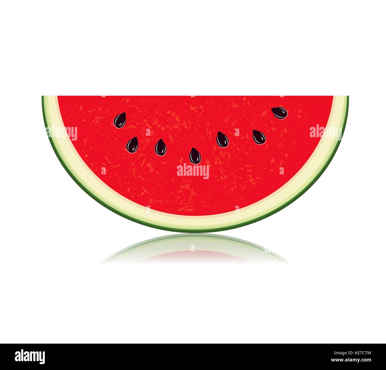 Sliced of watermelon isolated on white background Stock Vector Image ...