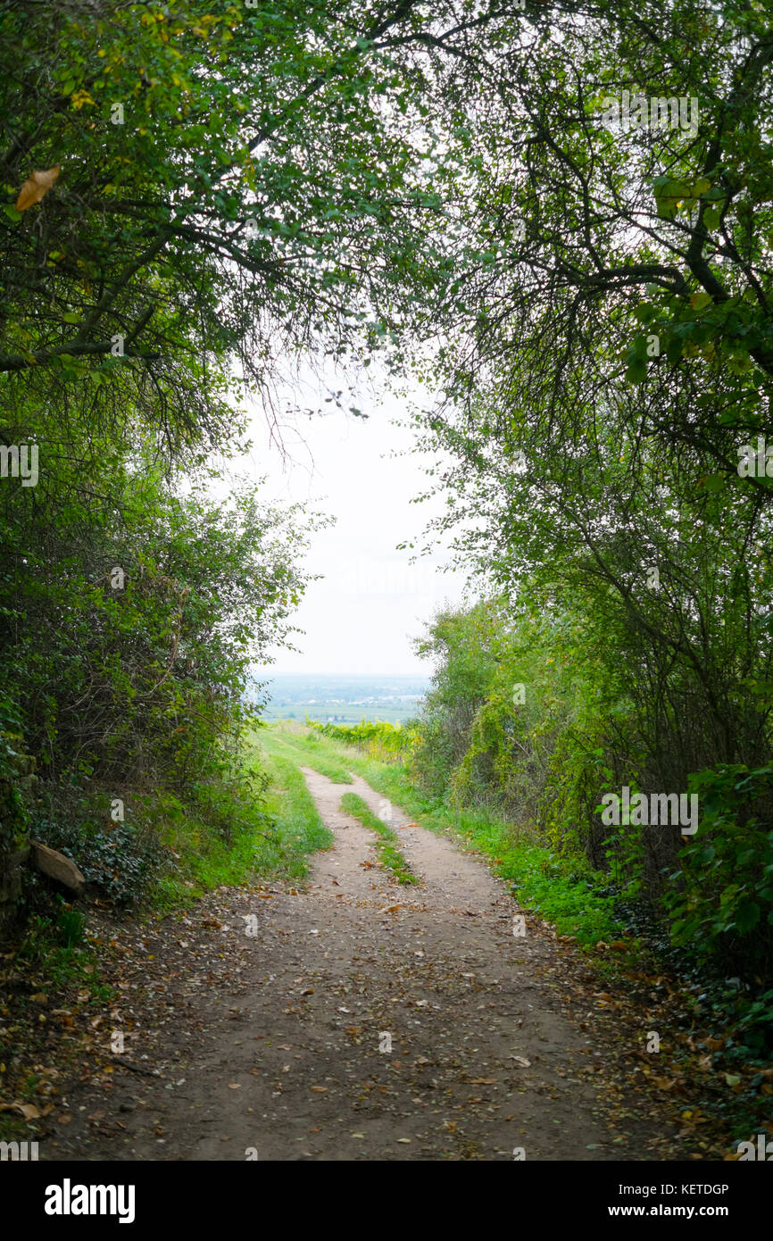 Clearing a path way hi-res stock photography and images - Alamy