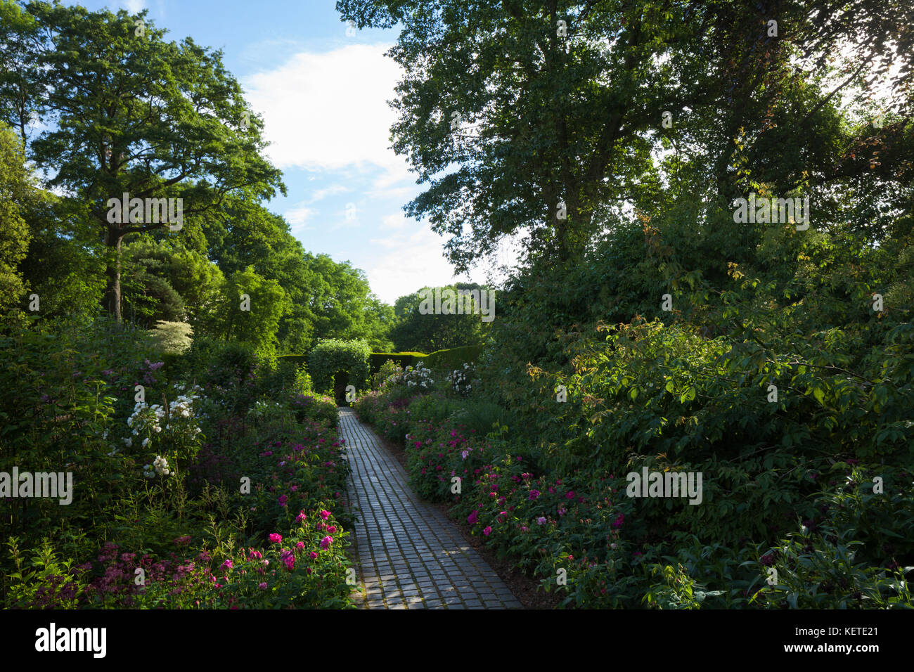 The stunning Rose Border garden with its brick paved path at Kiftsgate Court in early morning light near Chipping Campden, Cotswolds, Gloucestershire. Stock Photo