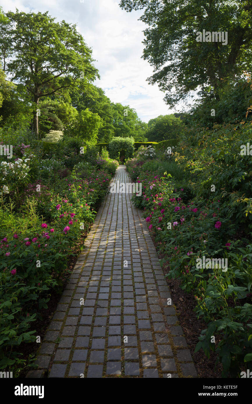 The stunning Rose Border garden with its brick paved path at Kiftsgate Court in early morning light near Chipping Campden, Cotswolds, Gloucestershire. Stock Photo
