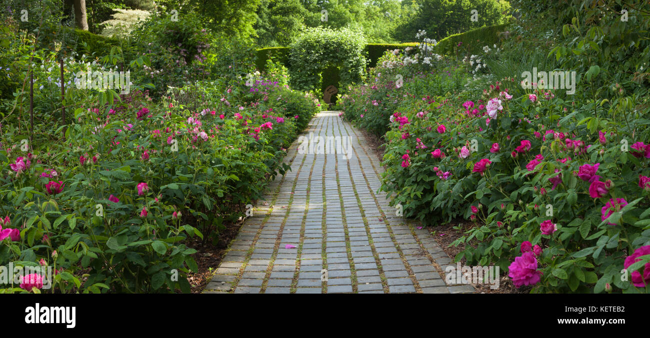 The stunning Rose Border garden with its brick paved path at Kiftsgate Court in early morning light near Chipping Campden, Cotswolds, Gloucestershire. Stock Photo