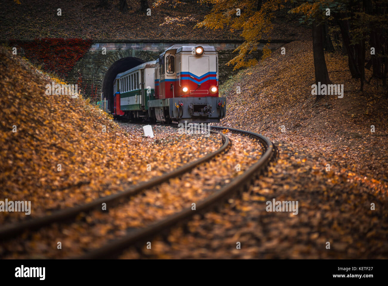 Budapest, Hungary - Beautiful autumn forest with foliage and old colorful train coming out of tunnel in Hungarian woods Stock Photo