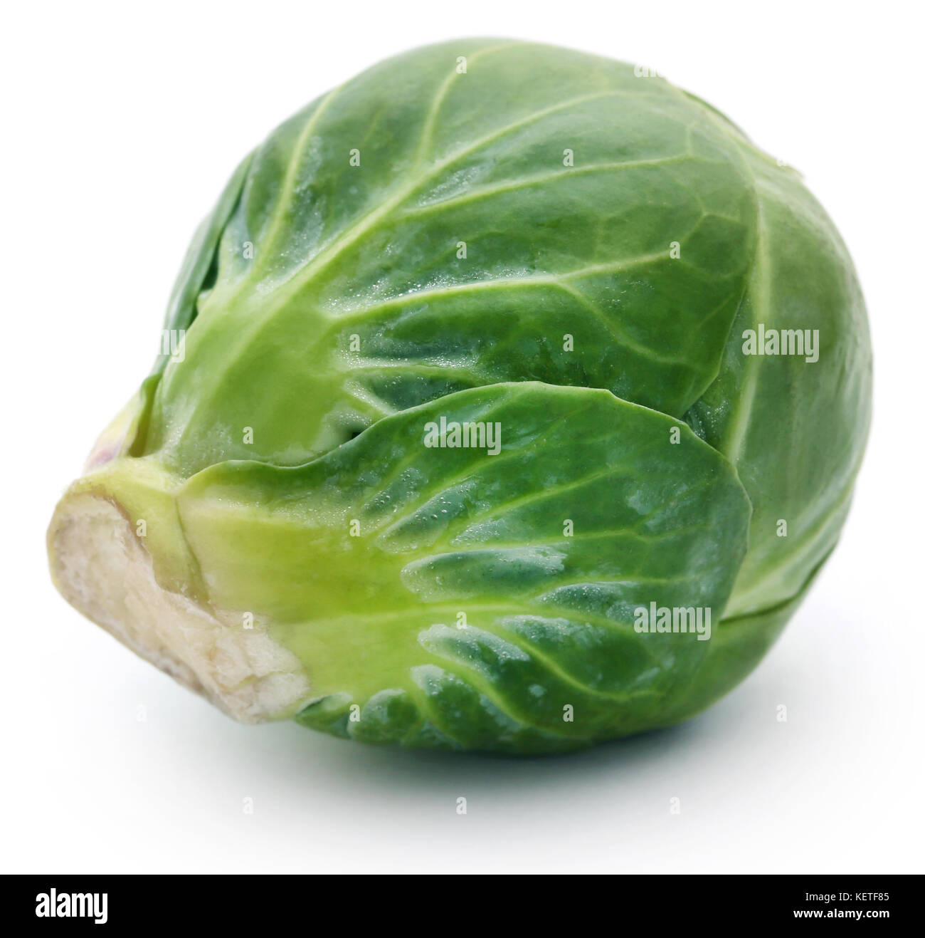 Rosenkohl or Brussels sprout isolated over white background Stock Photo