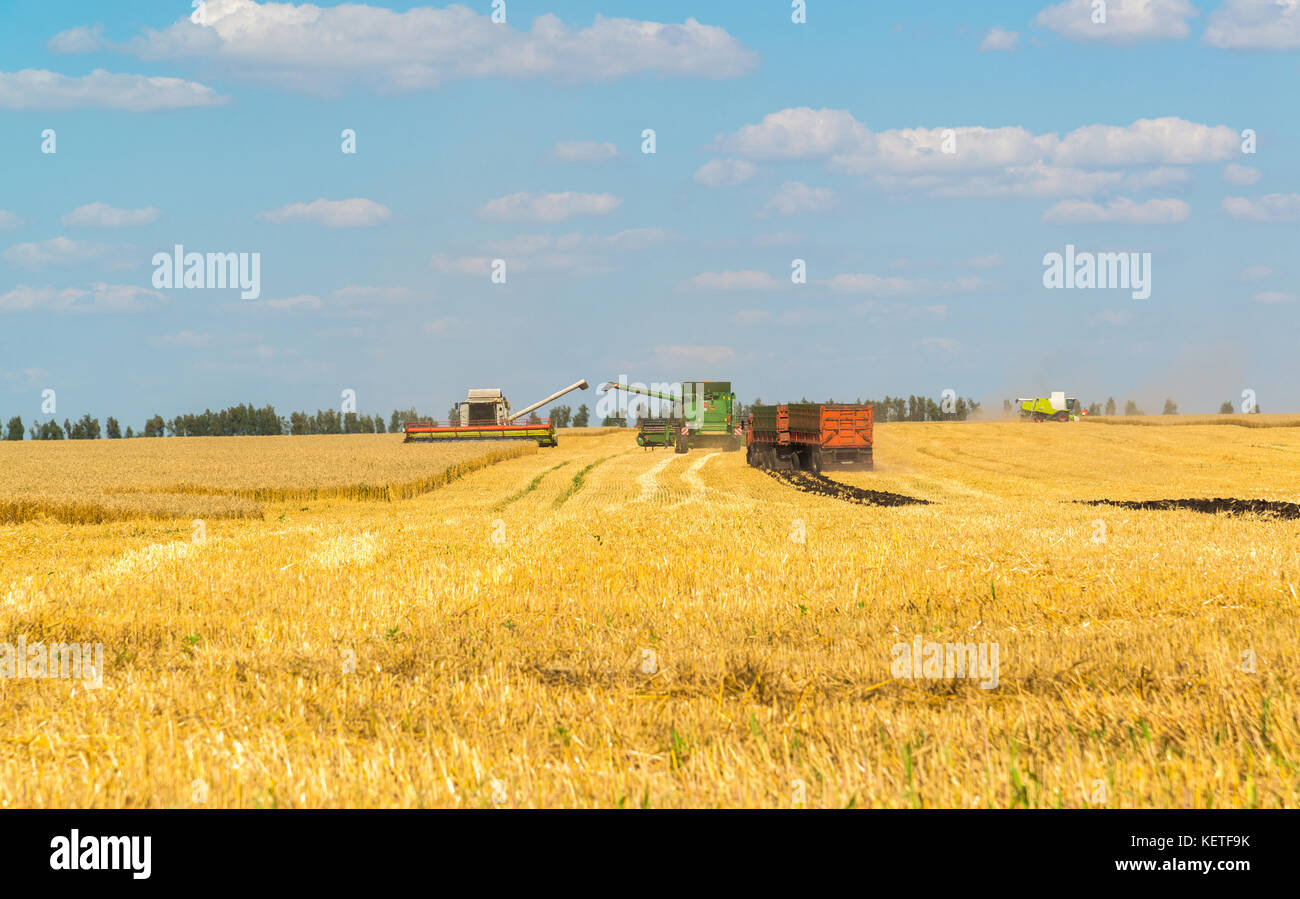 Agriculture in russia hires stock photography and images Alamy