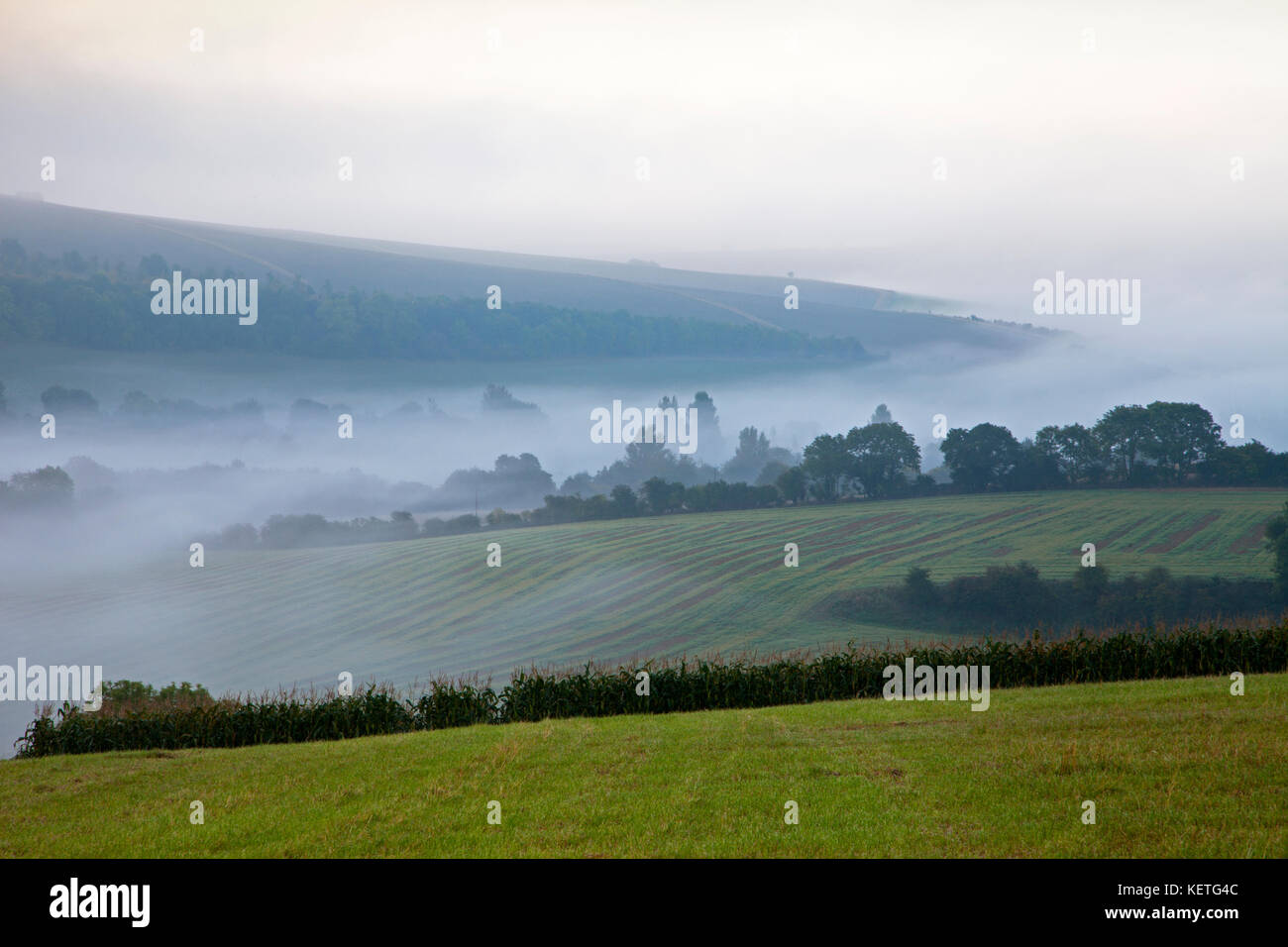 Clearing morning mist in the Deverill Valley in Wiltshire. Stock Photo