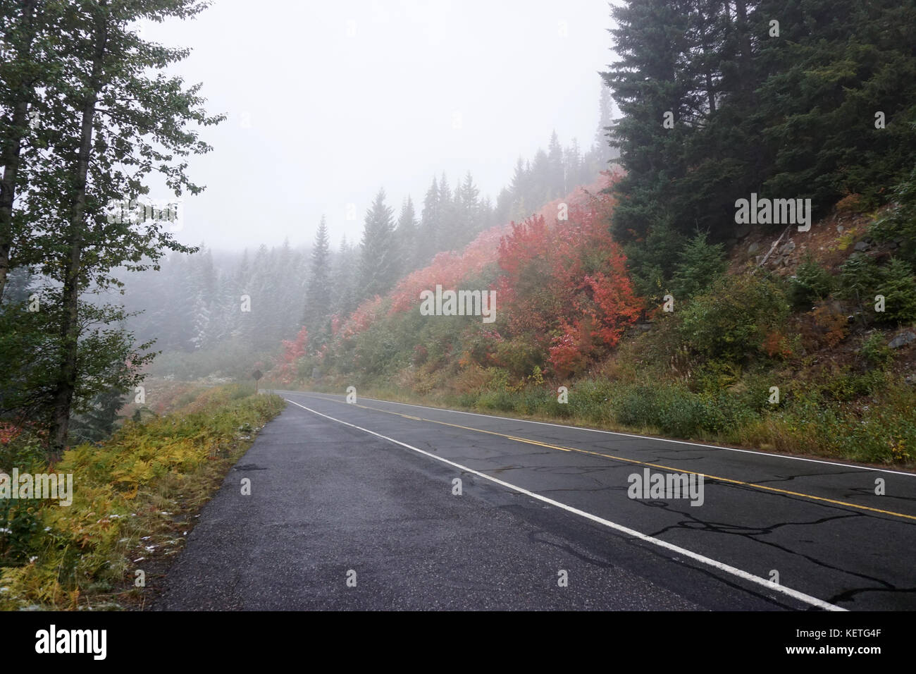 Autumn colors in the Mount Rainier National Park Stock Photo