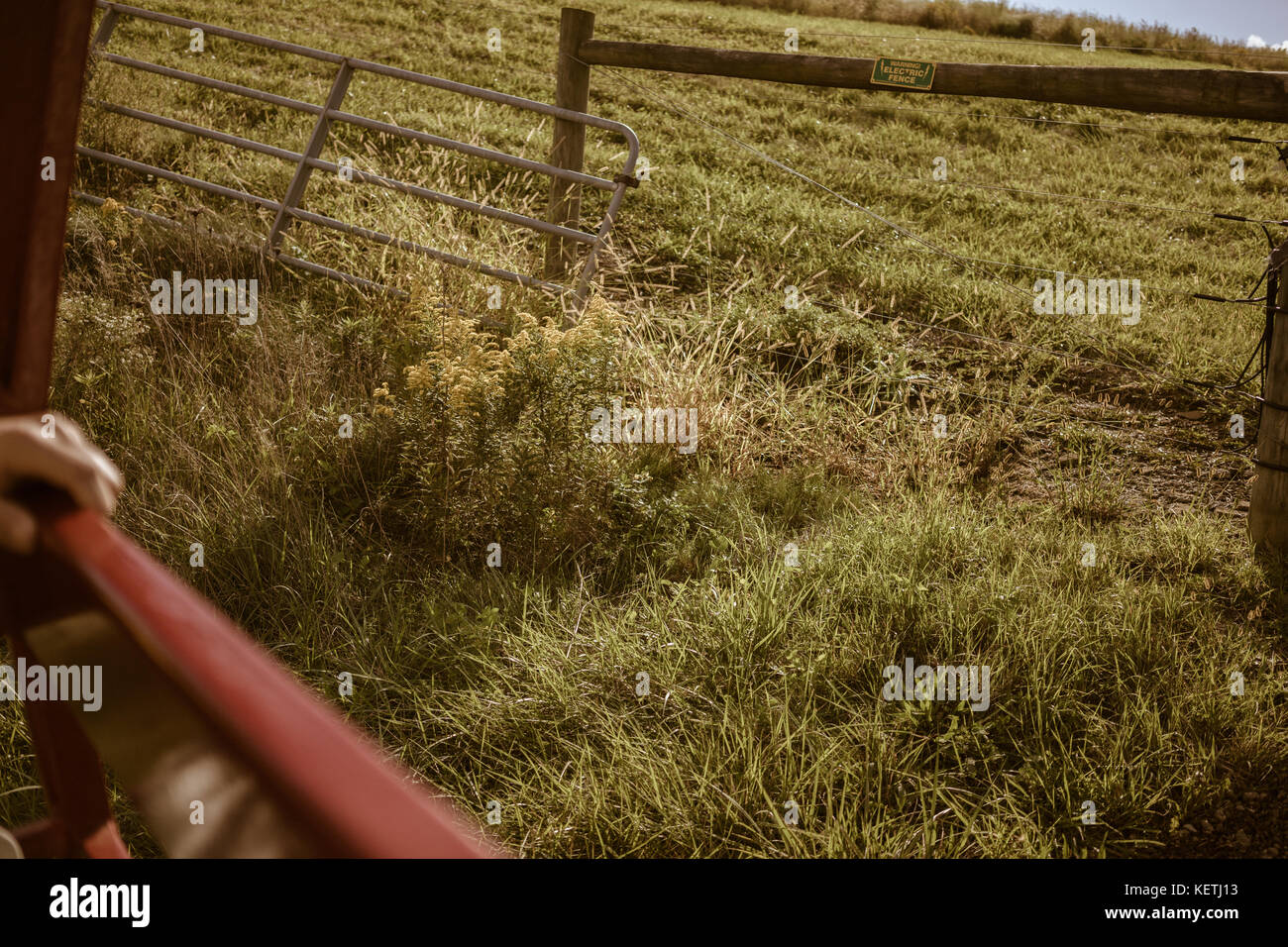 View from the tractor ride Stock Photo - Alamy