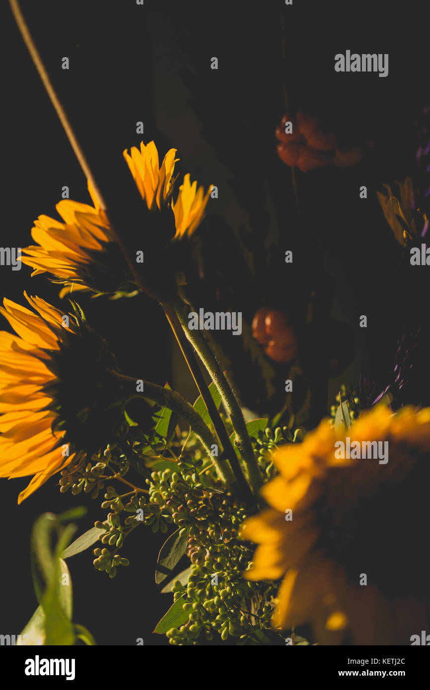 Deep and impactful hi-res stock photography and images - Alamy