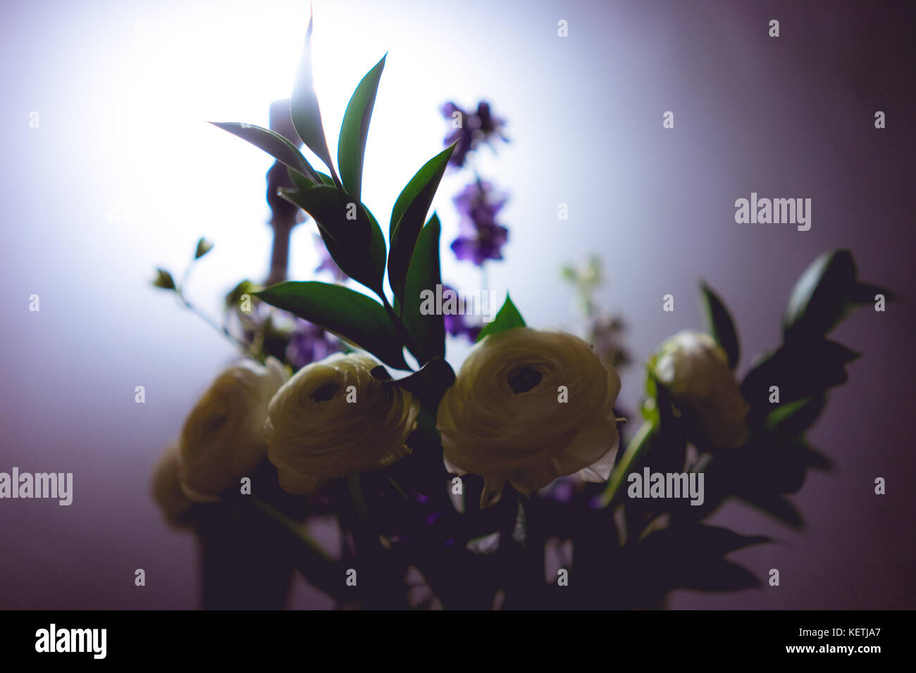 Flowers underneath a glowing light Stock Photo Alamy