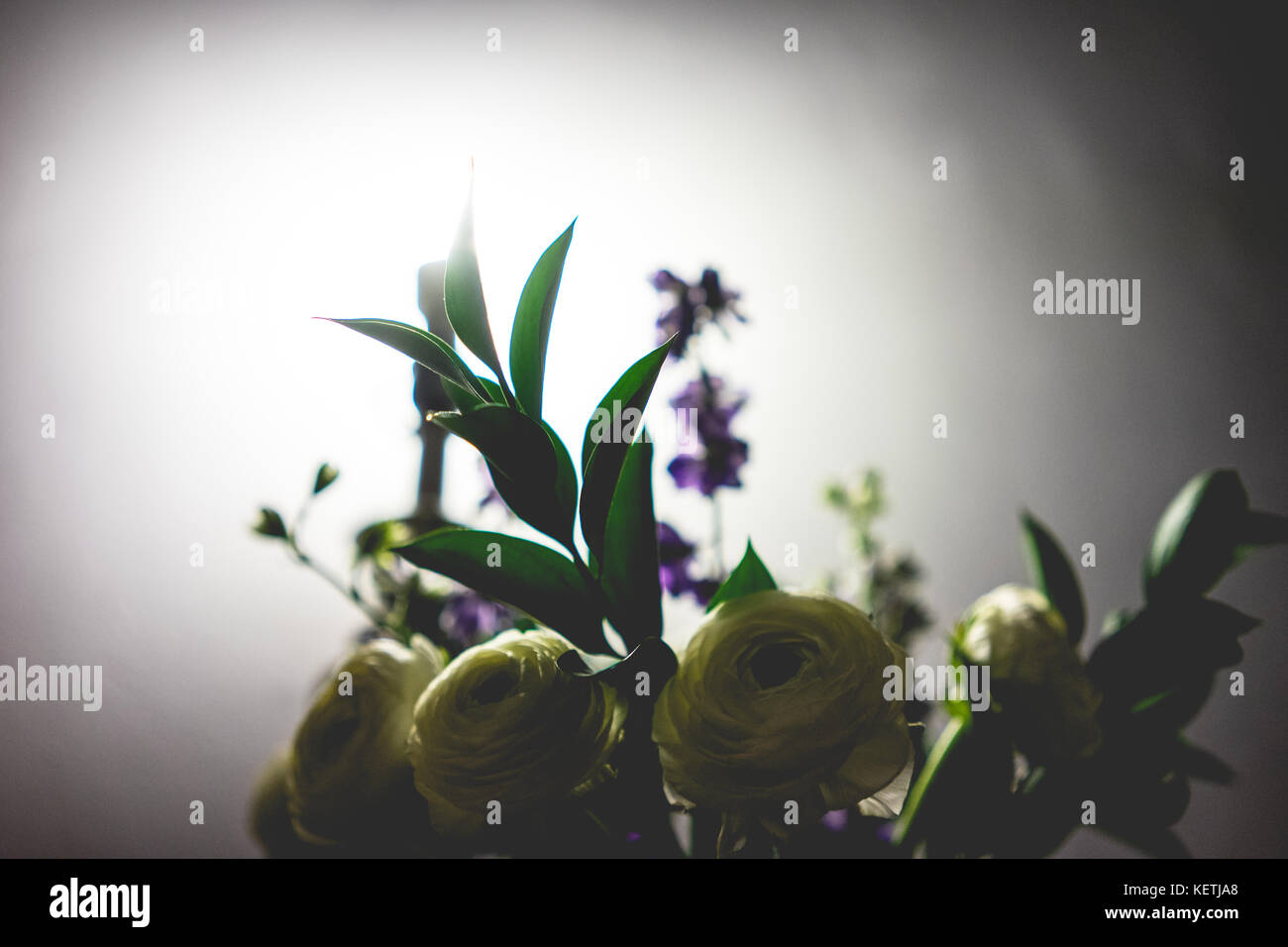Flowers underneath a glowing light Stock Photo Alamy