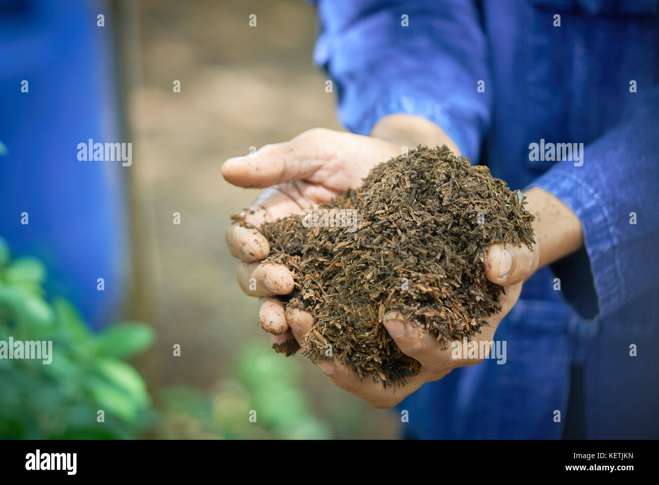 Male farmers are using both clayed hands with rice husk. Can be used as
