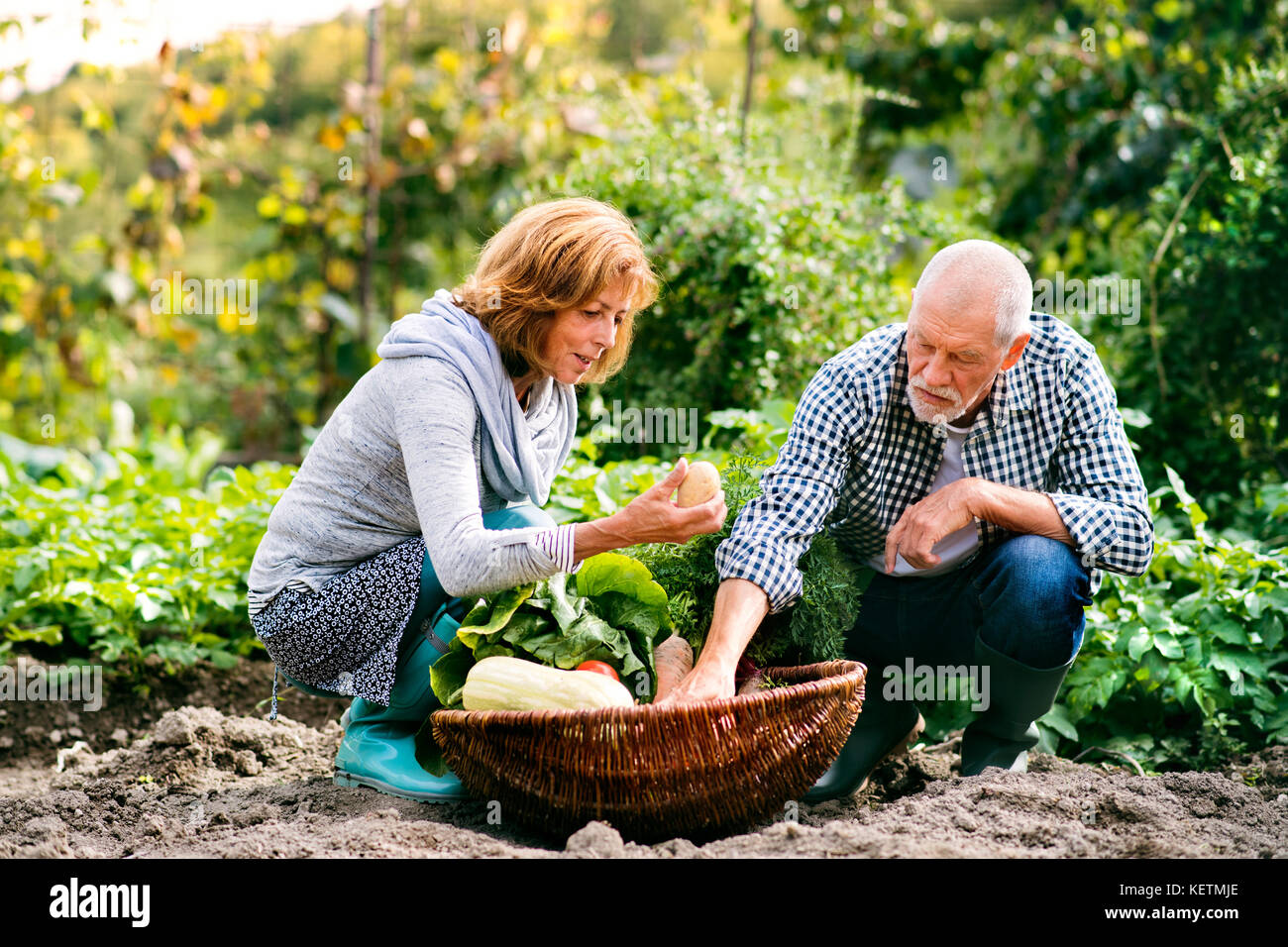 Old couple gardening hi-res stock photography and images - Alamy