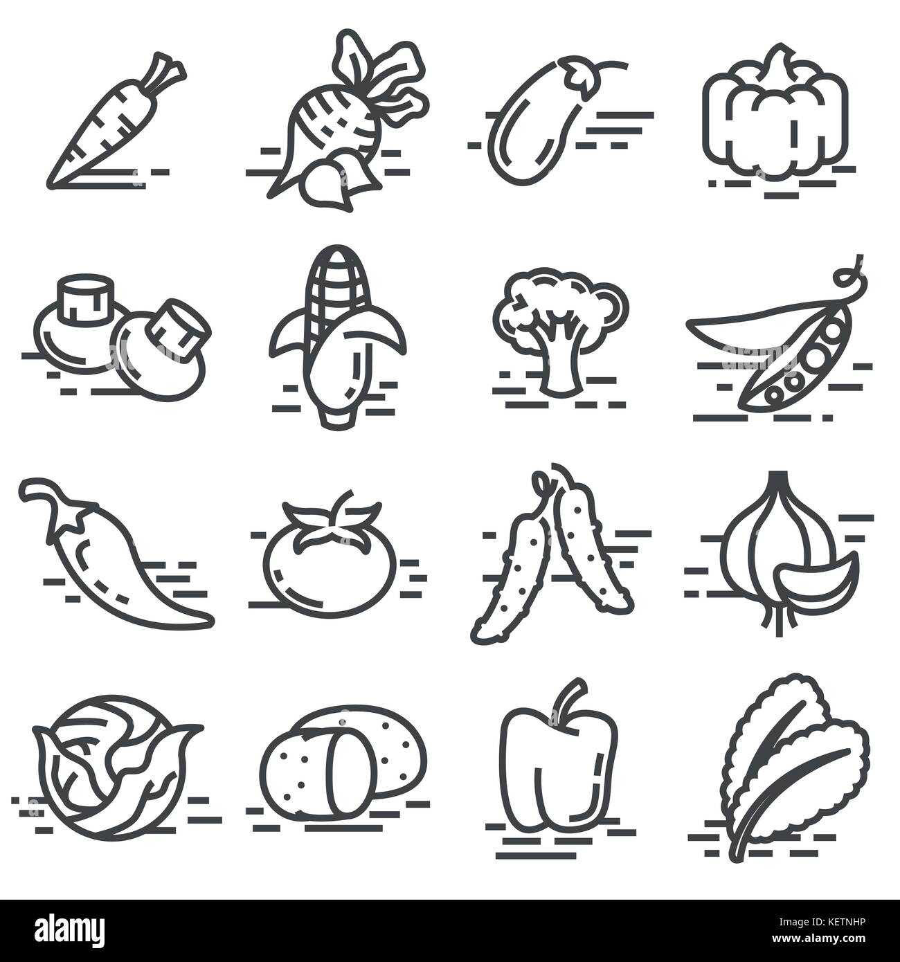 Vector vegetables icon collection. Line style illustrations Stock ...