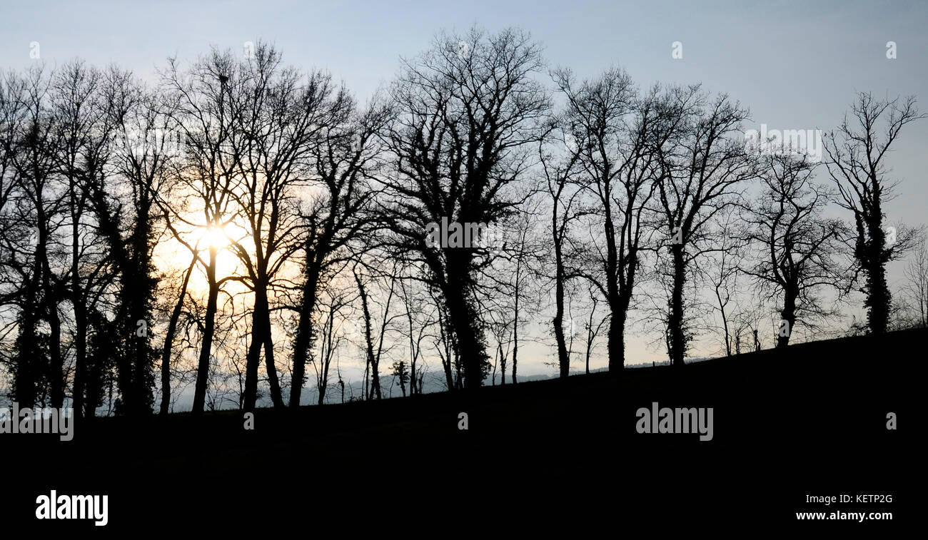 Backlight landscape hi-res stock photography and images - Alamy