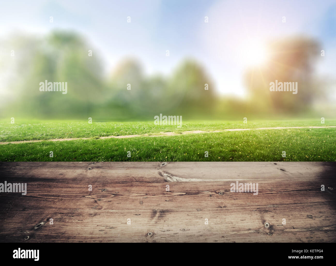 Park blur background. Summer day nature landscape Stock Photo - Alamy