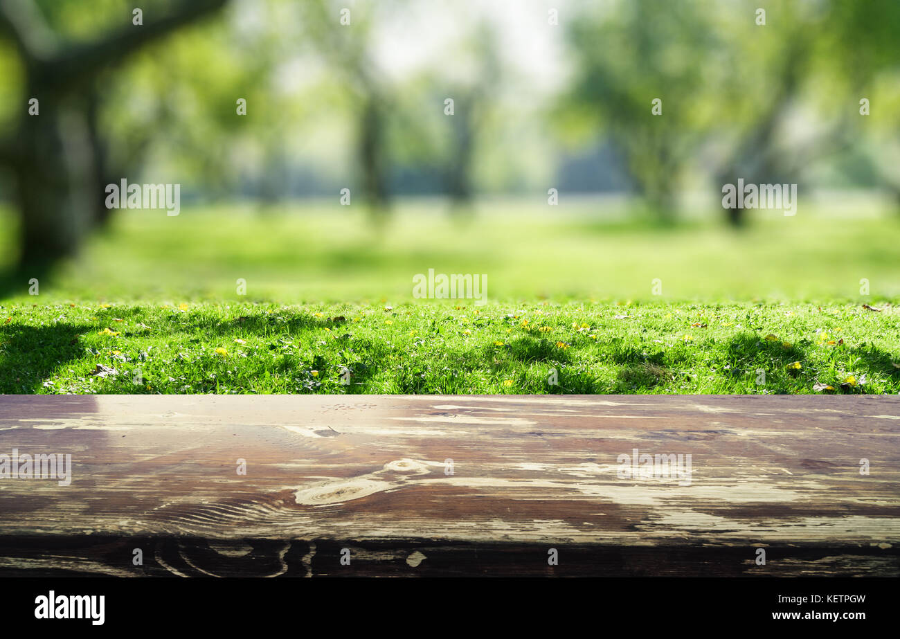 Park blur background. Summer day nature landscape Stock Photo - Alamy