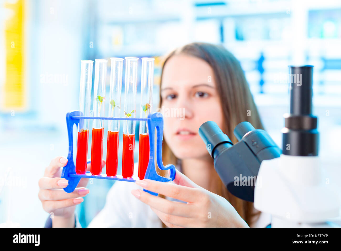Research of photosynthesis of green plants. Food quality control of