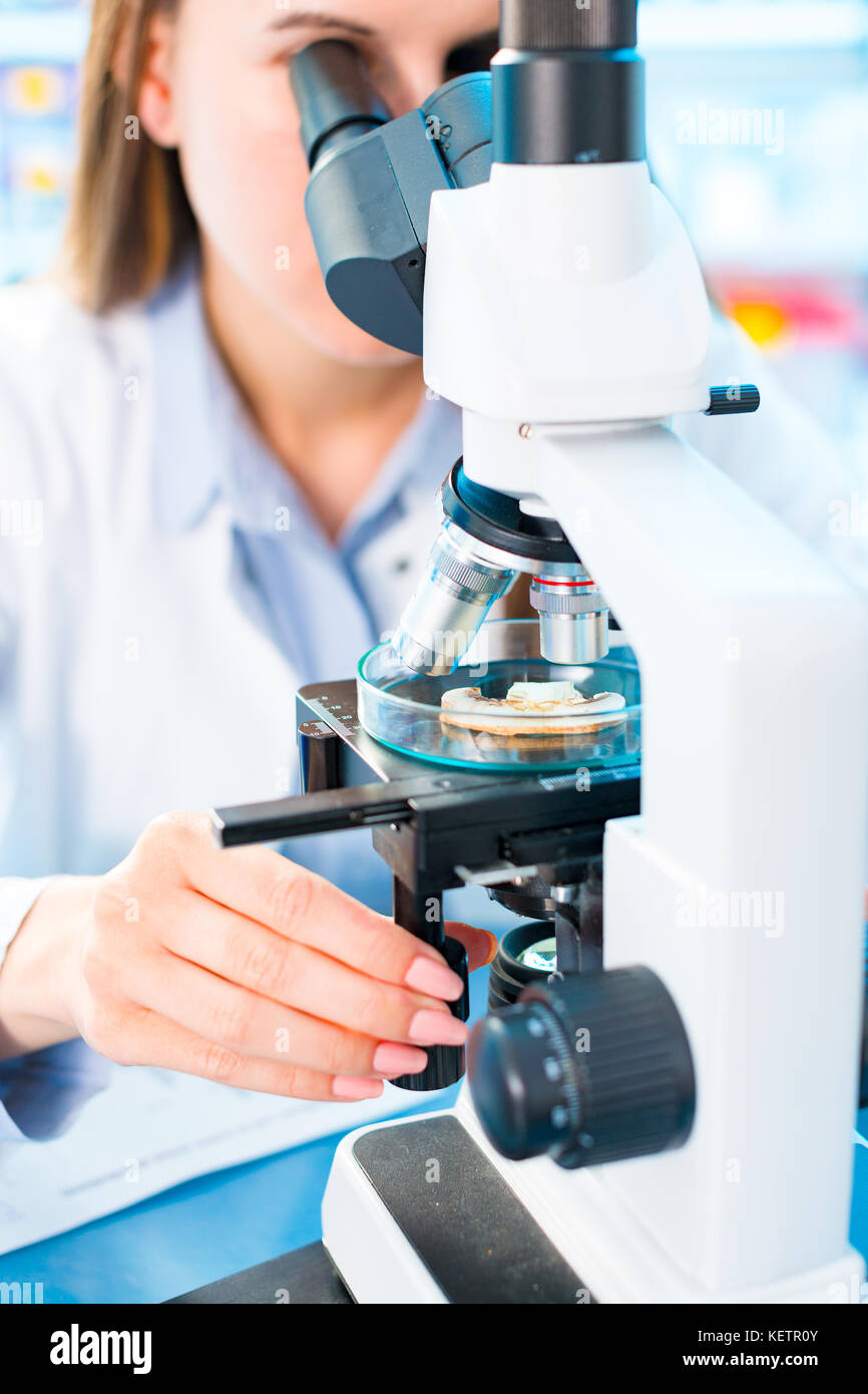 Fish research in laboratory. Food Processing and Quality Control Stock