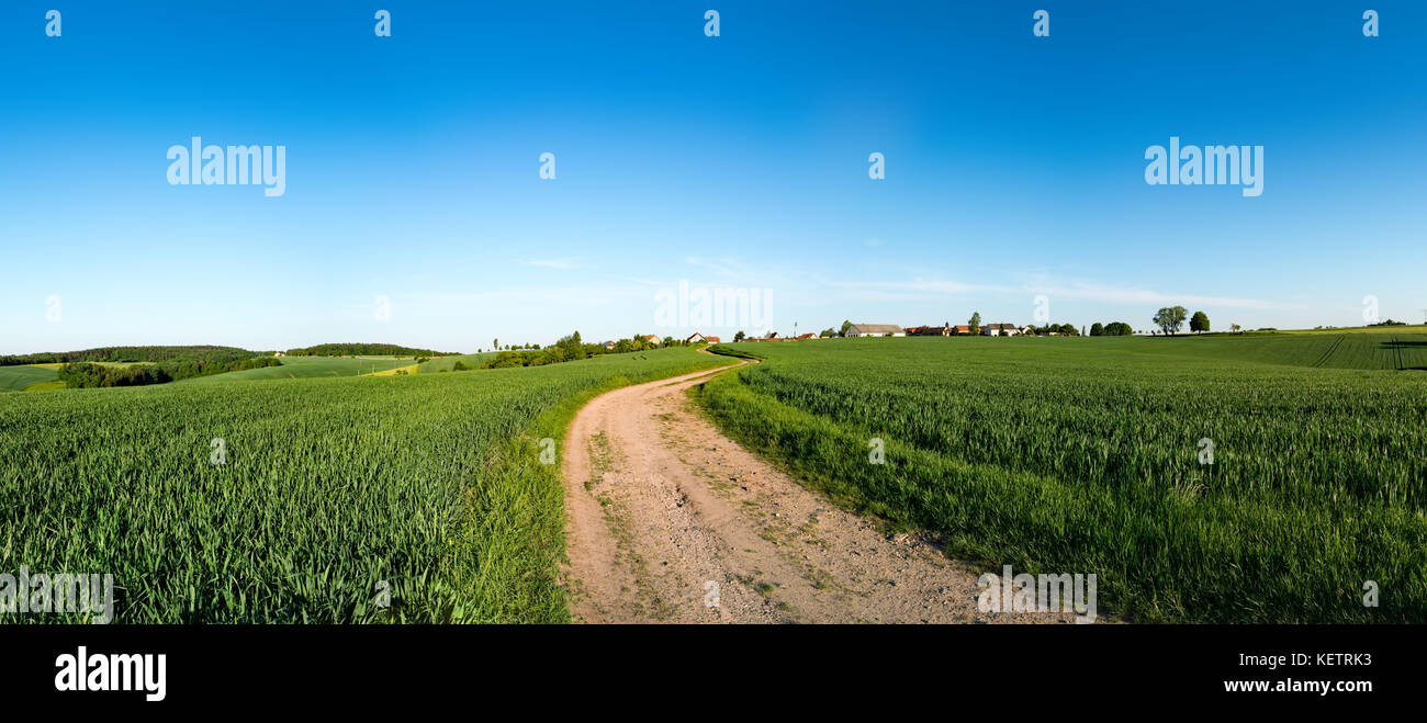 Green field and clear blue sky panorama Stock Photo - Alamy