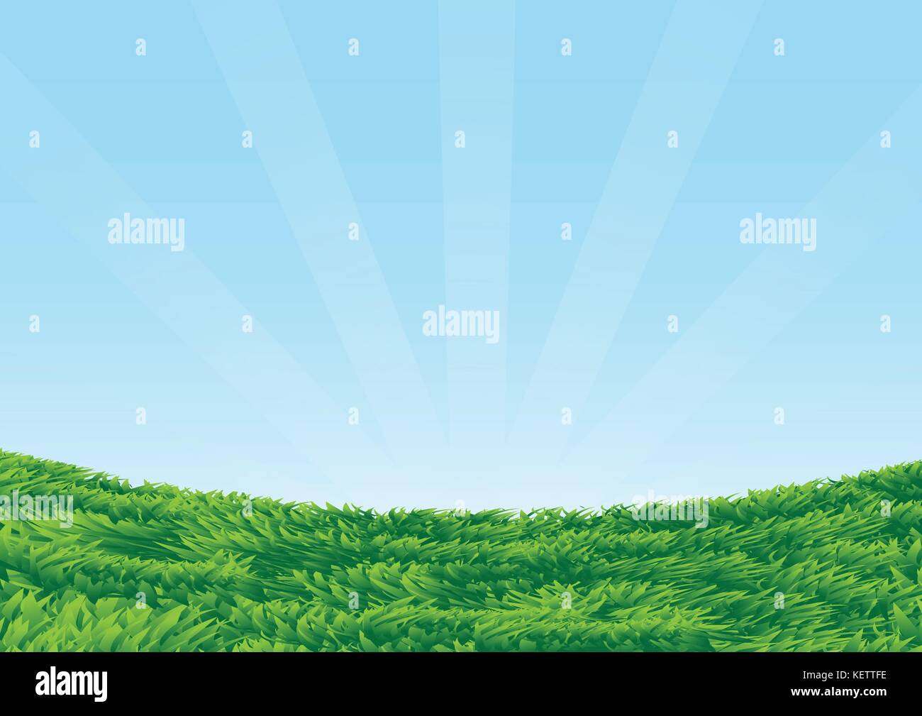 Abstract Background of Green Grassy Field with Blue sky and light ray sunny - Background Vector Illustration Stock Vector