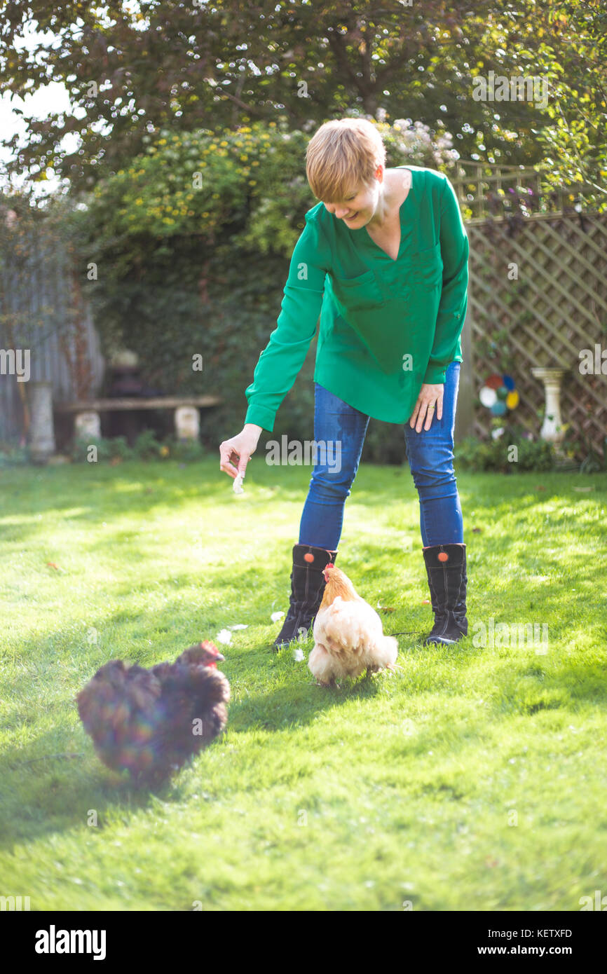 Lady with her bantam chicken pets Stock Photo