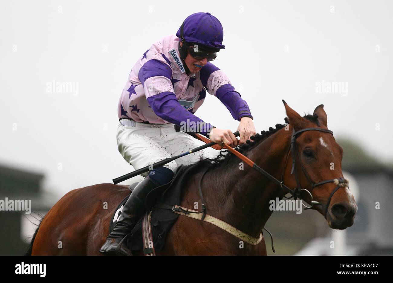 Plumpton, UK. 23rd Oct, 2017. Harry Teal and Oh Land Abloom head