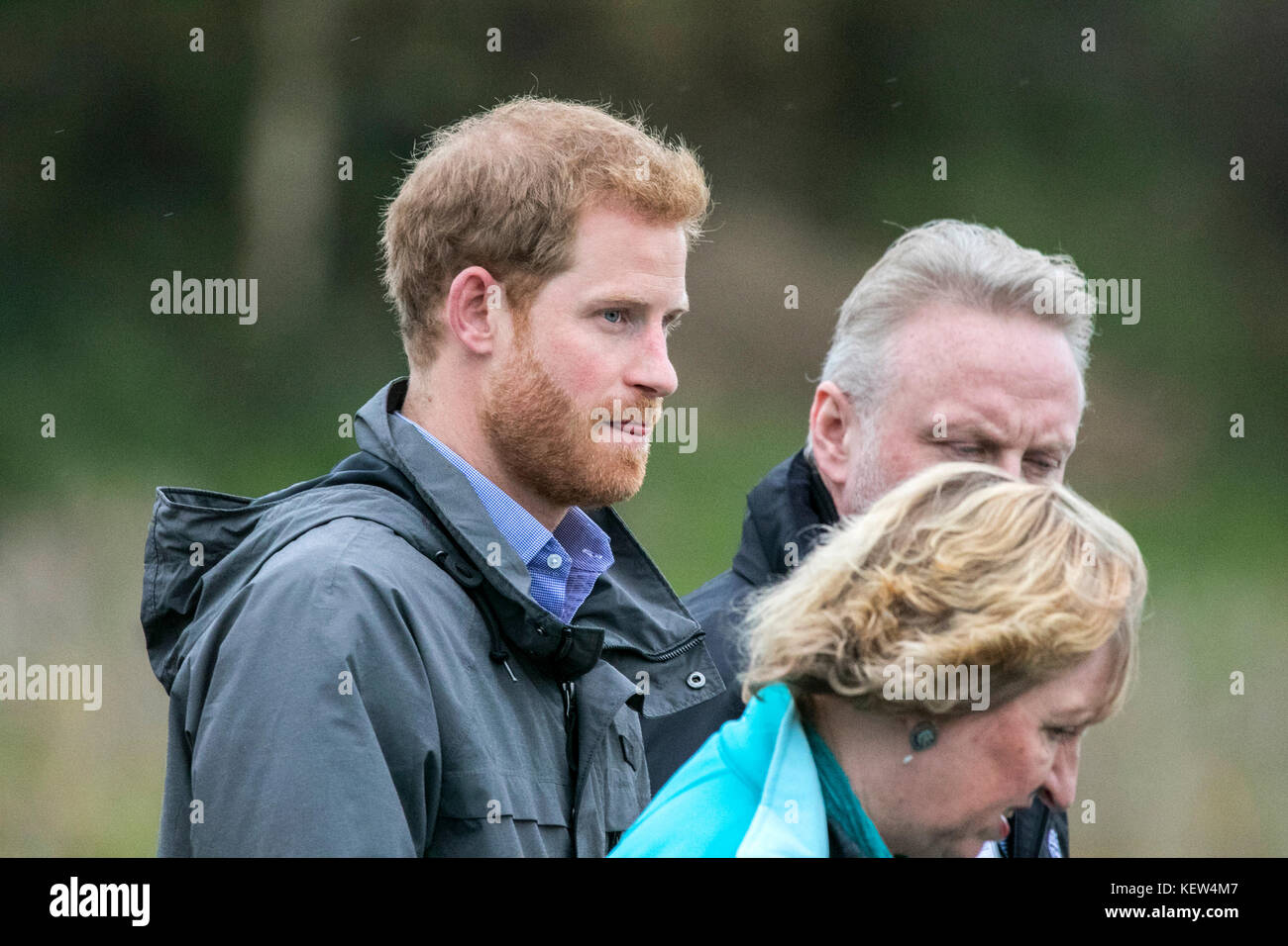 English royal family official portrait hires stock photography and