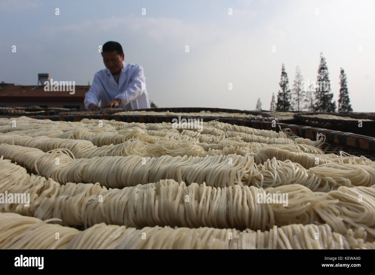 Xiaogan, China. 24th Oct, 2017.(EDITORIAL USE ONLY. CHINA OUT) .People are busy with making traditional fish meat noodle in Xiaogan, central China's Hubei Province. The fish meat noodle is a kind of traditional Chinese food. Credit: SIPA Asia/ZUMA Wire/Alamy Live News Stock Photo